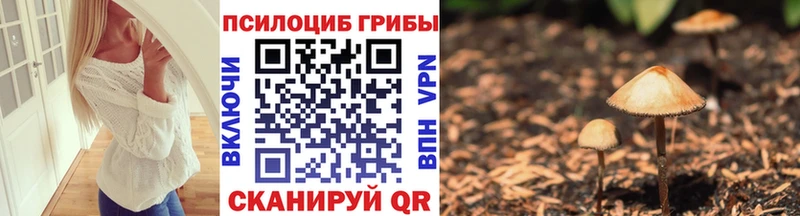 Псилоцибиновые грибы Psilocybe  Сорск 